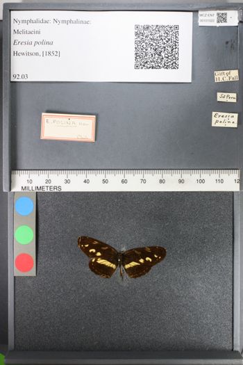 Media type: image;   Entomology 101022